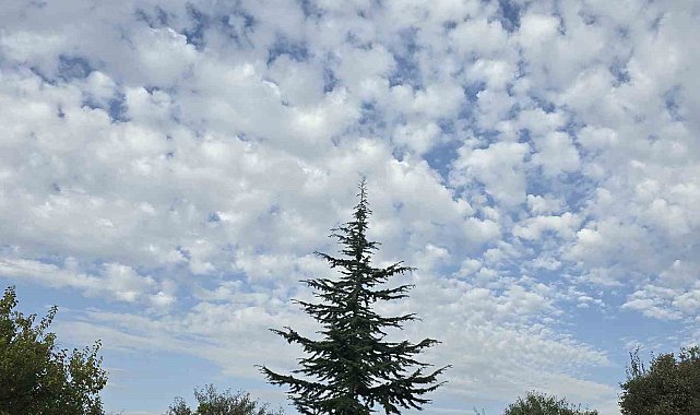 Elazığ'da sirrokümülüs bulutları görsel şölen sundu