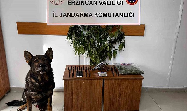 Erzincan'da jandarma suç olaylarına geçit vermiyor