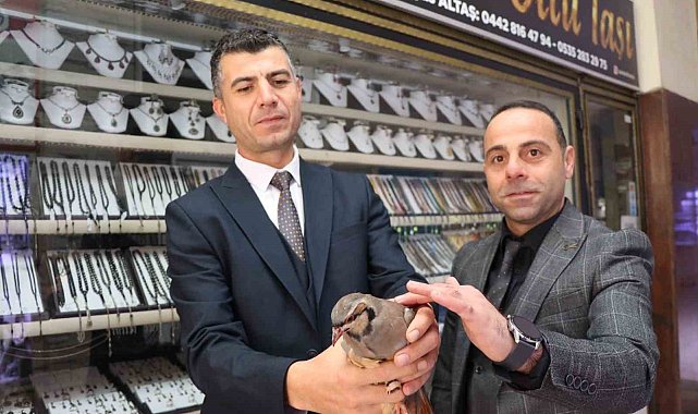 Erzurum'da kınalı kekliğe uzanan şefkatli eller