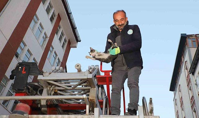 Hakkari'de 4 katlı binada mahsur kalan yavru kedi kurtarıldı