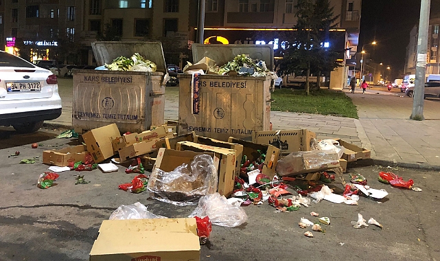 Kars kent merkezinde çöp krizi