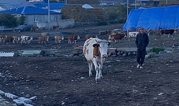 Kırkpınar köyünde akşam vakti
