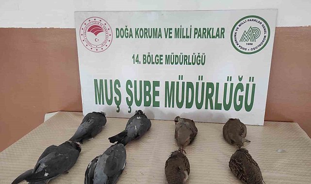 Muş'ta keklik avlayan 2 kişiye 42 bin 946 TL para cezası