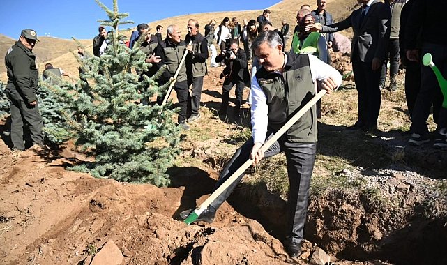 Palandöken'de 60 bin fidan toprakla buluştu