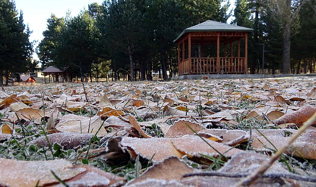 Sarıkamış'ta soğuk hava ve kırağı etkili oldu