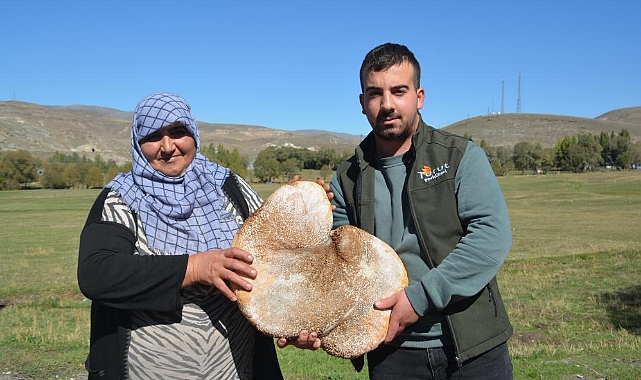 Sarıkamış'ta üretilen peynir işkembeye dolduruluyor