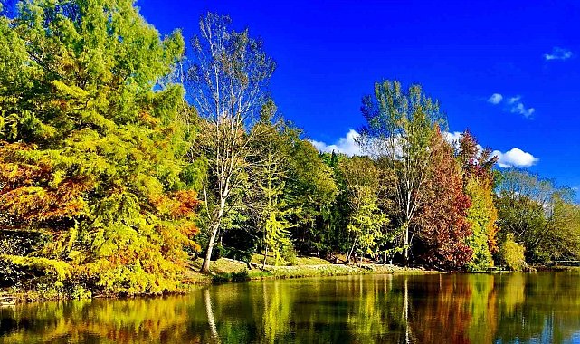 Sonbaharın büyüleyici renkleri Erzincan'ı sardı