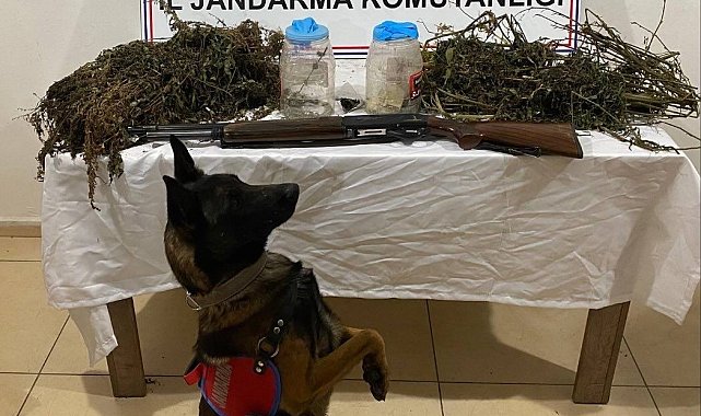 Tatvan'da 3 kilo 960 gram kubar esrar ele geçirildi