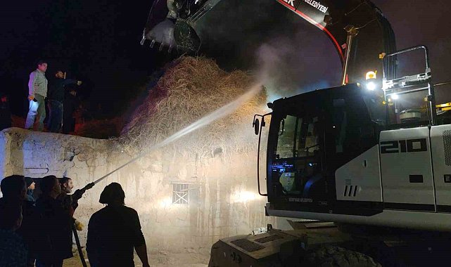 Van'da 5 bin bağ ot yanarak kül oldu