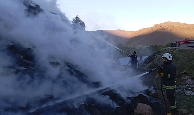 Van'da 9 bin 500 bağ ot yandı