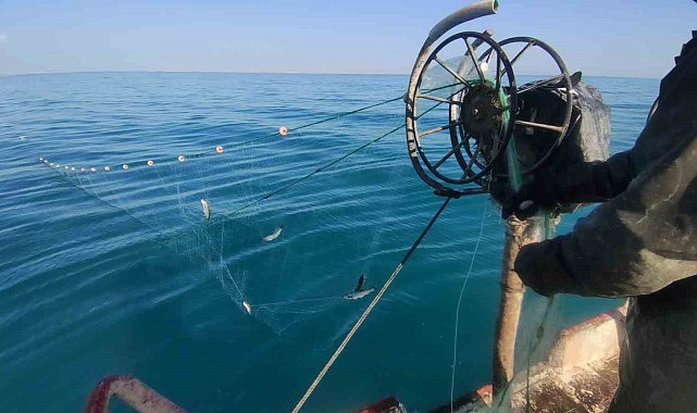 Van'da balıkçılar yeni sezondan umutlu