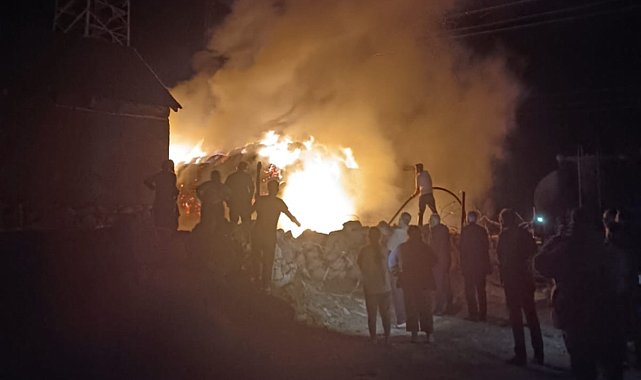 Yüksekova'da 10 bin bağ ot kül oldu