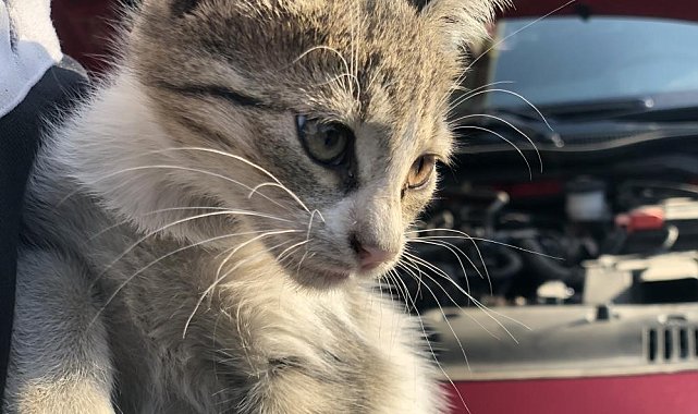 'Kontağı çevirmeden kaputa vurun'