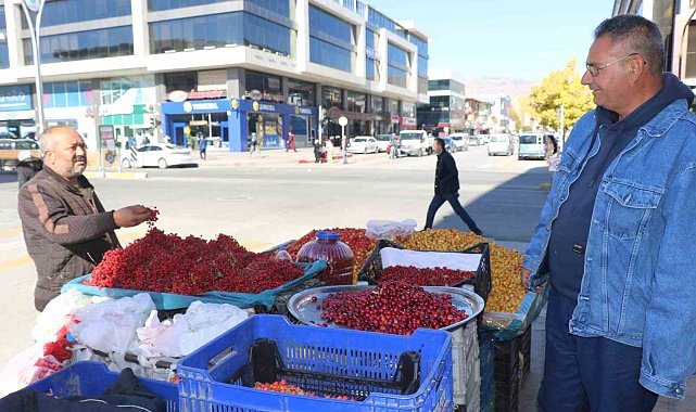 'Seyyar doktor' dağ bitkileriyle şifa dağıtıyor