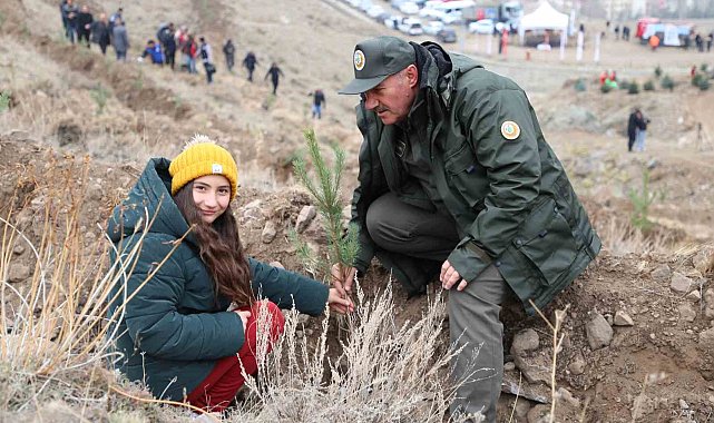6 ilde 56 bin 500 fidan toprakla buluştu