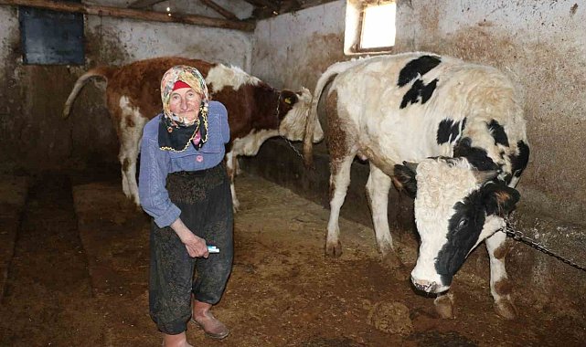 79 yaşındaki Dilber ninenin inanılmaz hayat mücadelesi görenlere 'maşallah' dedirtiyor