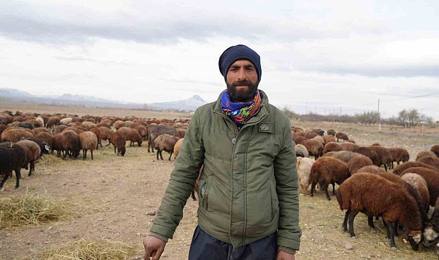 8 aydır memleketten ayrı olan sürüler Iğdır'a geri döndü