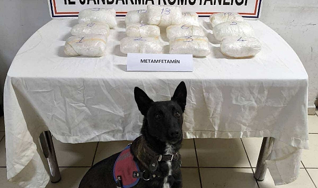 Ağrı'da bir tırda 16 kilo 200 gram uyuşturucu yakalandı