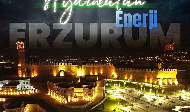 Aras Elektrik'ten rekor sürede enerji arzı