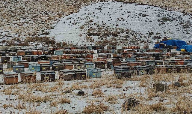 Bahçesaray Kaymakamlığından sürücülere "zorunlu olmadıkça yola çıkmayın" uyarısı