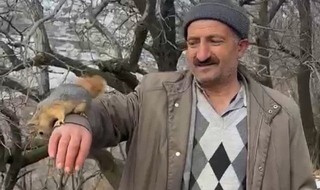 Bahçesaray'ın sevimli sincabı ilgi odağı oldu