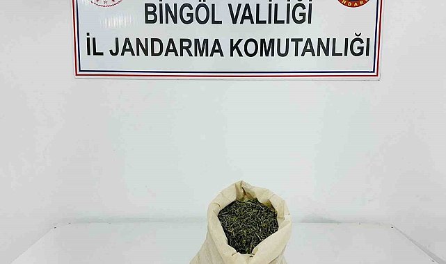 Bingöl'de aranan 2 şahıs yakalandı
