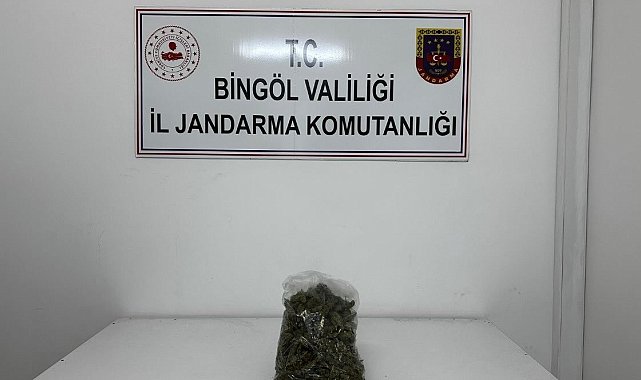 Bingöl'de uyuşturucu operasyonu