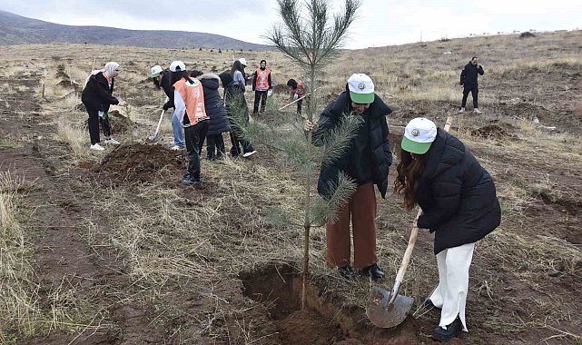 Bitlis'te bin adet fidan dikildi