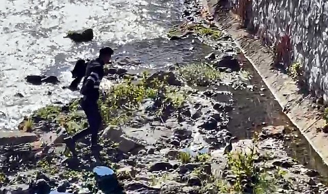 Bitlis'te dereye düşen kekliği vatandaşlar kurtardı