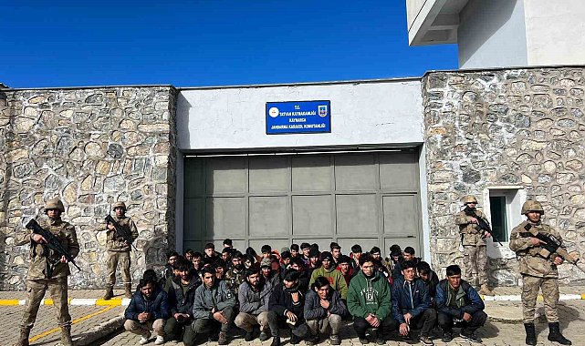 Bitlis'te göçmen kaçakçılığı operasyonları