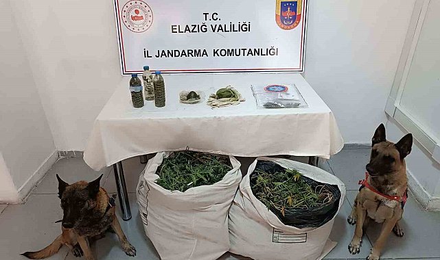 Çakmak gazıyla esrarın kalitesini arttırmaya çalışmışlar