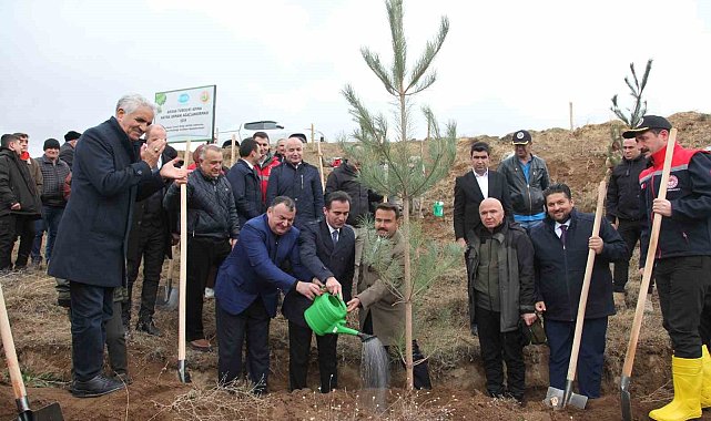 DATÜB Ahlat'ta 'Hatıra Ormanı' oluşturdu