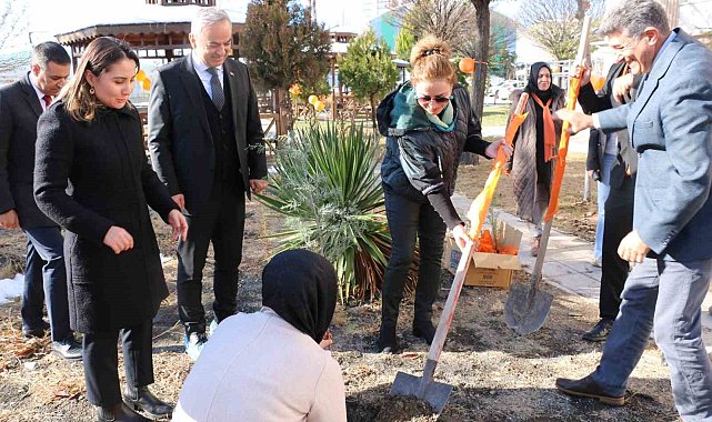 Elazığ'da kadına yönelik şiddetle mücadele için fidanlar toprakla buluştu