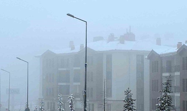Elazığ'da kar yağışı sonrası sis etkili oldu