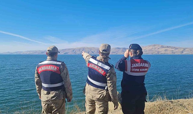 Elazığ'da ot yangınını jandarma ekipleri söndürdü