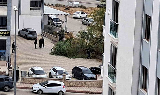 Elazığ'da şiddetli fırtına ağaçları devirdi