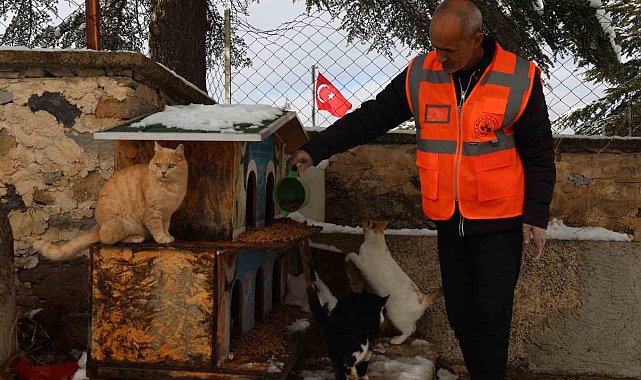 Elazığ'da sokak hayvanları için doğaya yem bırakıldı