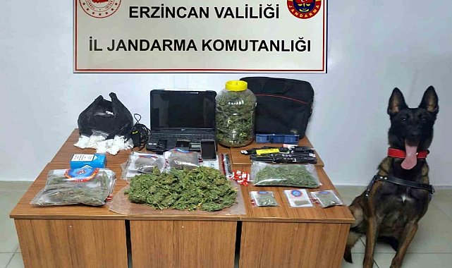 Erzincan'da jandarma suç olaylarına geçit vermiyor