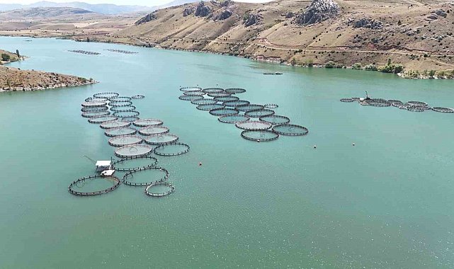 Erzincan&#039;dan Elazığ&#039;a balık sevkiyatı başladı