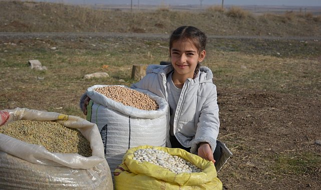 Erzurum'da 200 yıllık Ata tohumunun ticaretini yapmaya başladı