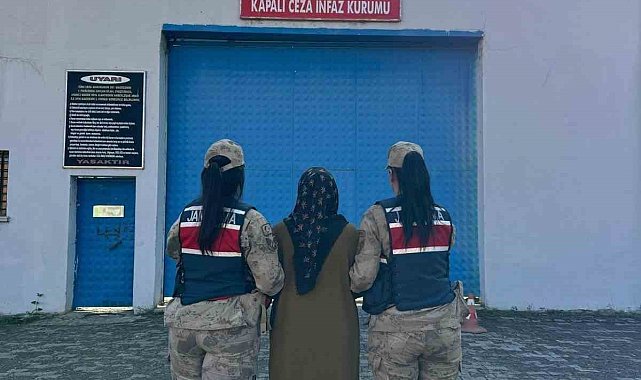 Erzurum'da FETÖPDY operasyonu