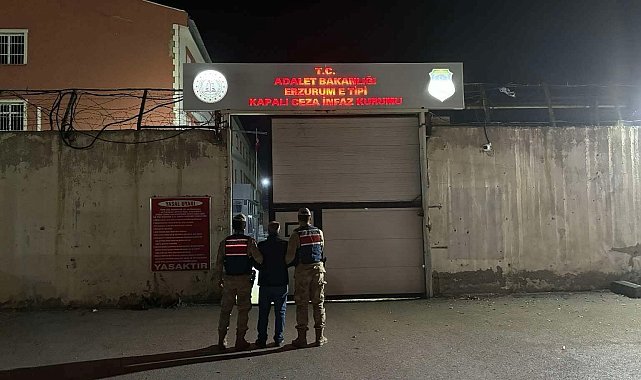 Erzurum'da jandarmadan kaçak şahıslara operasyon