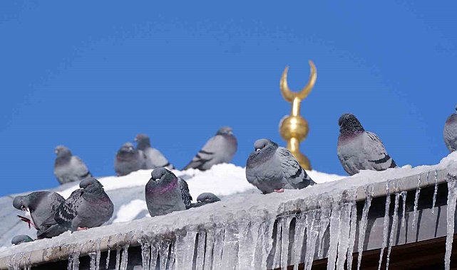Erzurum'da termometreler -18'i gösterdi
