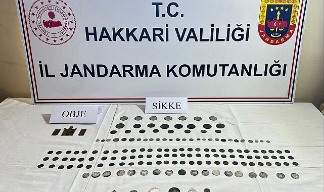 Hakkari'de tarihi eser operasyonu