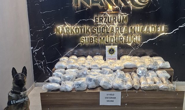 Hera'dan uyuşturucu tacirlerine geçit yok