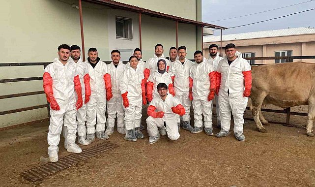 Iğdır'da veteriner sağlık teknisyenlerine suni tohumlama kursu düzenlendi