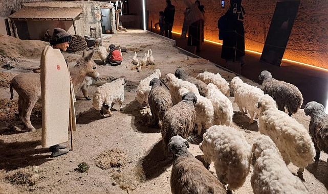 Kars Peynir Müzesi yoğun ilgi görüyor