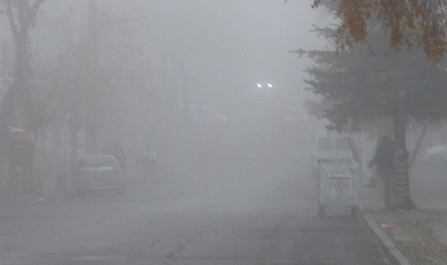 Kars'ta yoğun sis