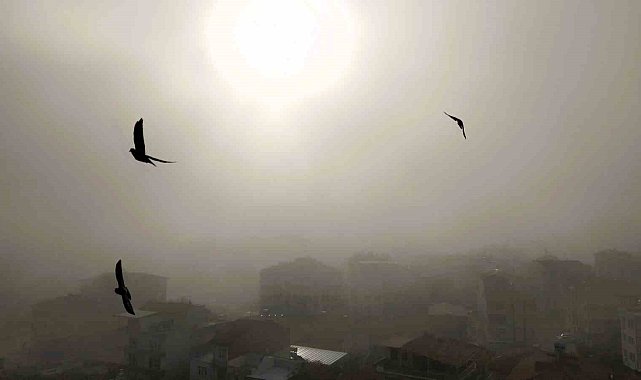 Malatya güne sis ile uyandı