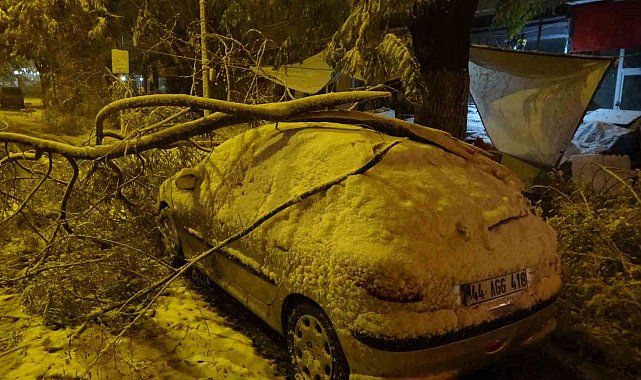 Malatya'da kardan kırılan ağaç dalları araçların üzerine devrildi
